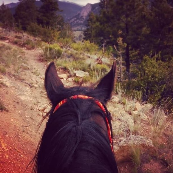 Meet your Posh Ambassador, Ashley Kathleen - Picture 5 of 8